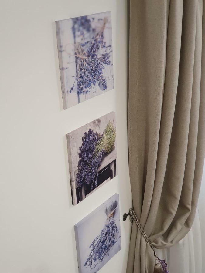Casa Lucky Hotel Rîşnov Eksteriør billede