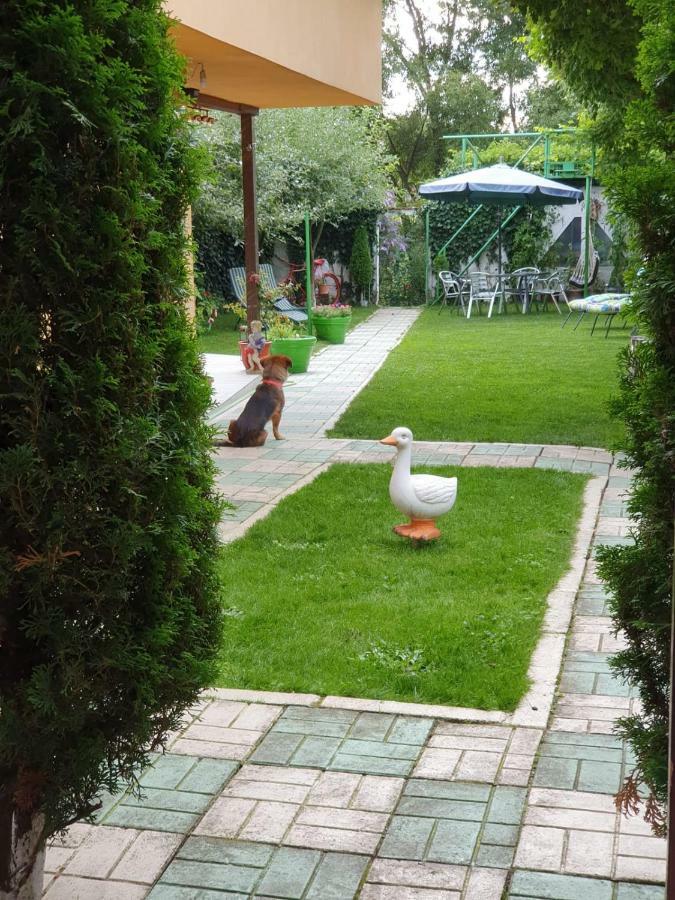 Casa Lucky Hotel Rîşnov Eksteriør billede